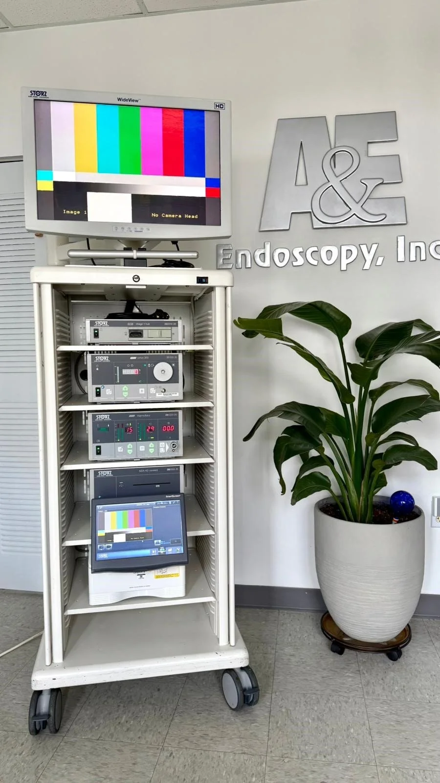 Endoscopy equipment and instruments rigid and flexible. Different